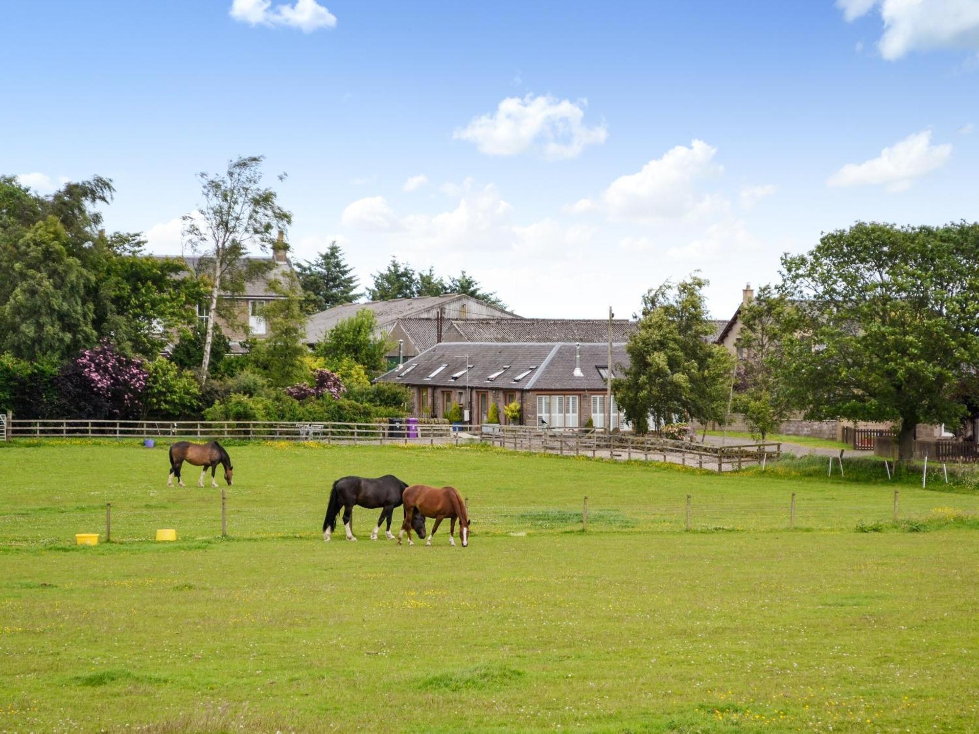 Appletree Cottage Kirkton of Tealing Buitenkant foto