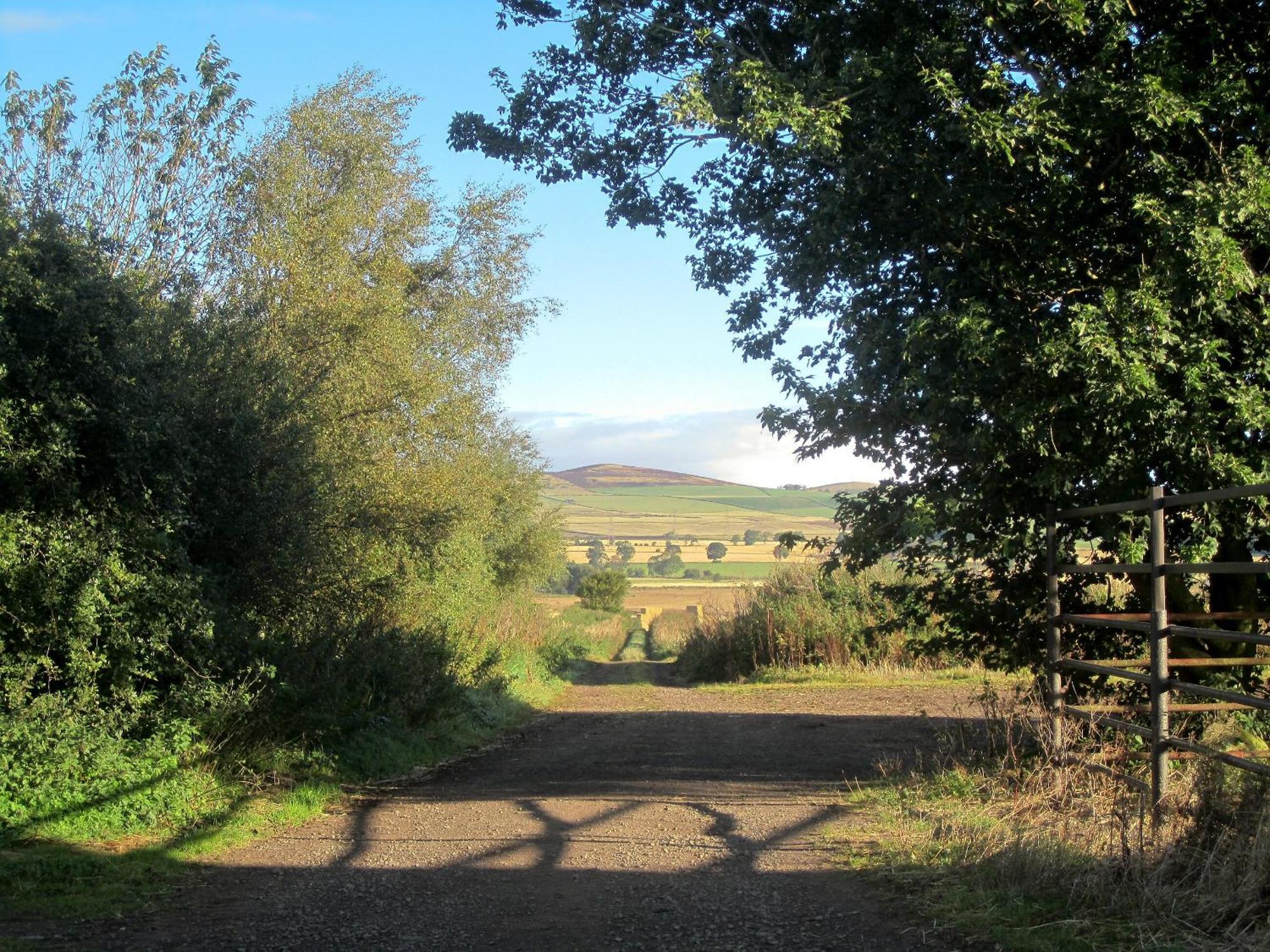 Appletree Cottage Kirkton of Tealing Buitenkant foto