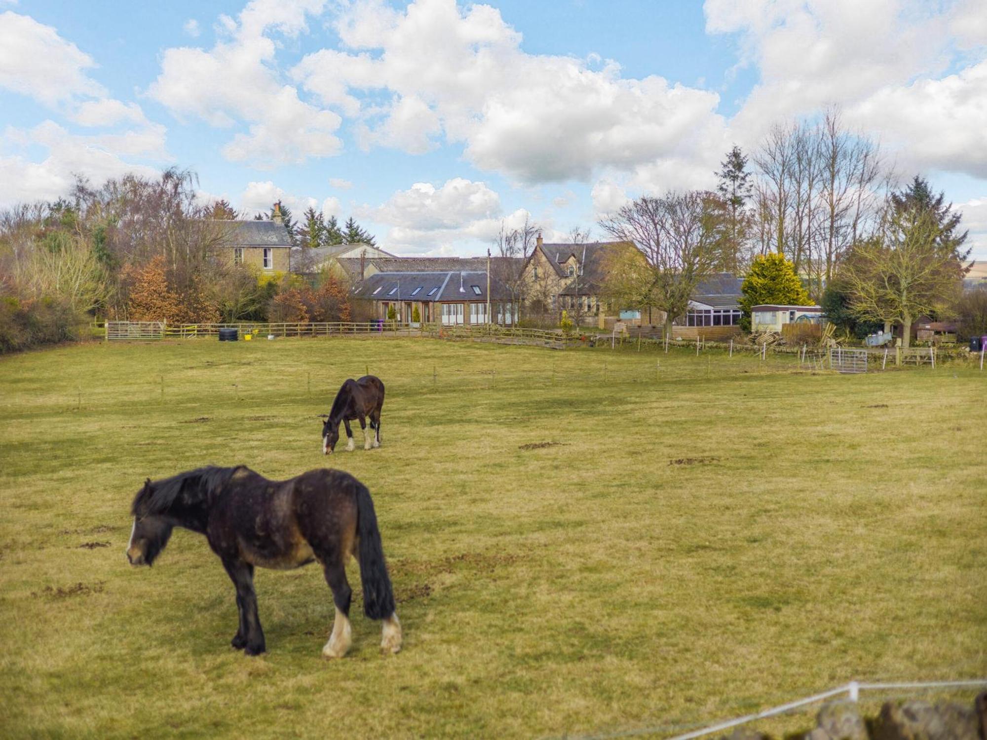 Appletree Cottage Kirkton of Tealing Buitenkant foto